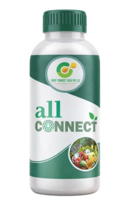 All Connect